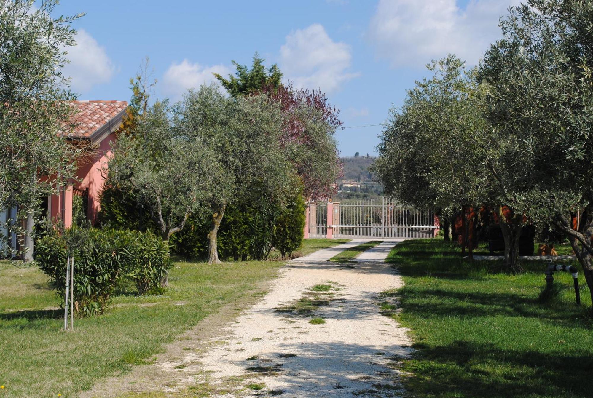 Agriturismo Melograno D'Oro Бардолино Экстерьер фото